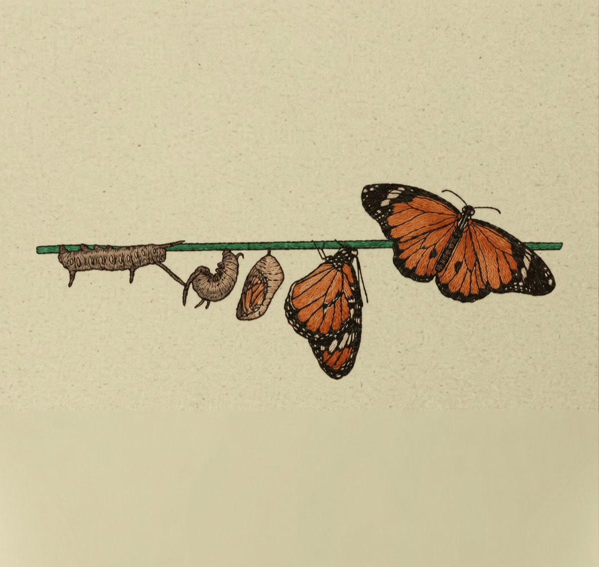 Transformation visual