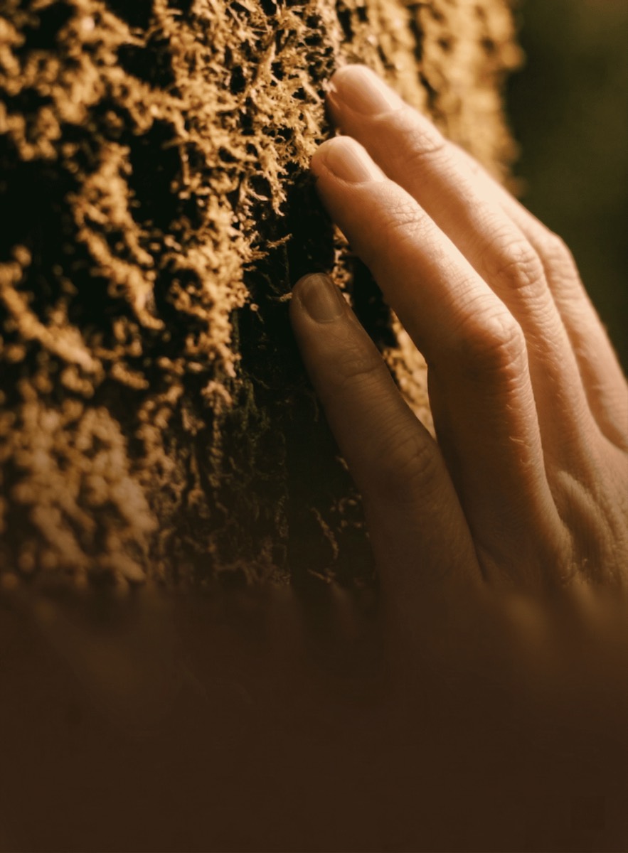Sustainable, Lived Well-Being